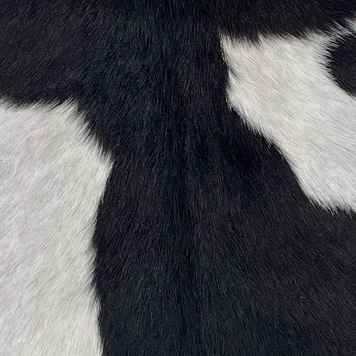 closeup of this Goatskin, showing black with white spots (GOAT442)