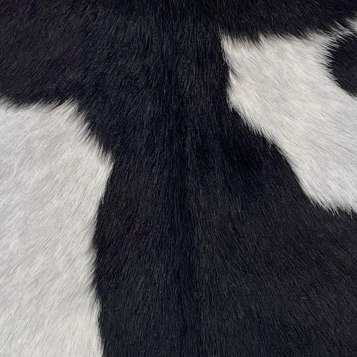 closeup of this Goatskin, showing black with white spots (GOAT442)