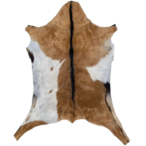 Brown and White Goatskin: brown with a large, white spot on both sides, and blackish brown down the spine - 2'11" x 2'3" (GOAT443)