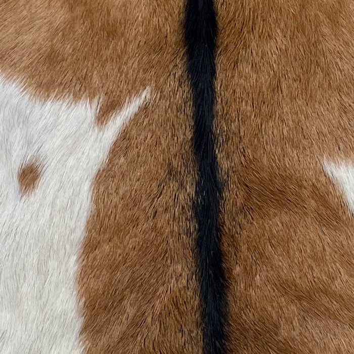 closeup of this Goatskin, showing brown with a large, white spot on the left side, and blackish brown down the spine  (GOAT443)