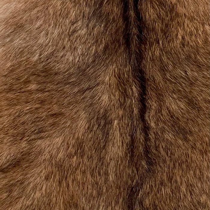 closeup of this Goatskin, showing reddish brown with dark brown speckles and dark brown down the spine (GOAT444)