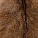 closeup of this Goatskin, showing reddish brown with dark brown speckles and dark brown down the spine (GOAT444)