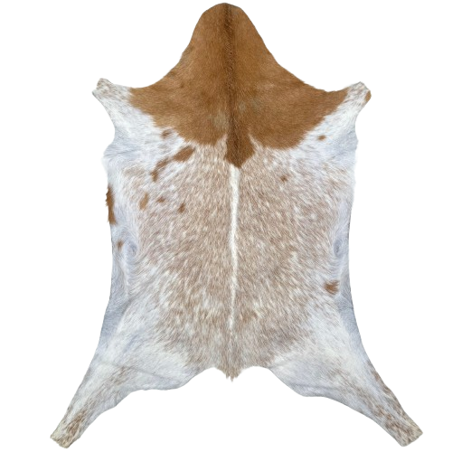 White and Reddish Brown Speckled Goatskin: white with reddish brown speckles and spots, and solid reddish brown on the shoulder and head - 3'5" x 2'5" (GOAT445)