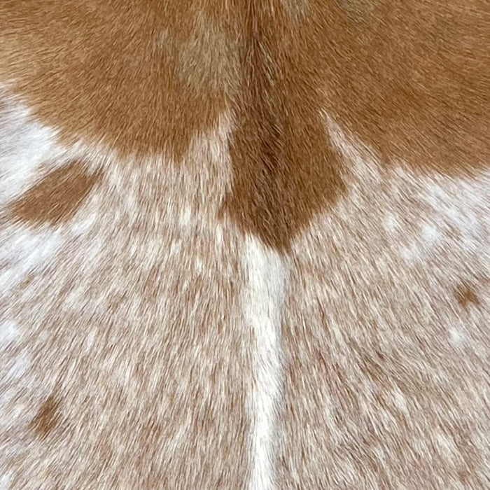 closeup of this Speckled Goatskin, showing white with reddish brown speckles and spots, and solid reddish brown on the shoulder (GOAT445)