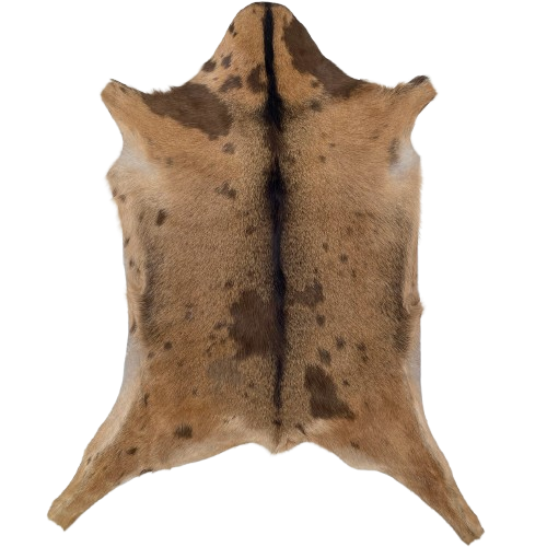 Two Tone Brown Goatskin: reddish brown with chocolate speckles and spots, and dark brown down the spine - 3'2" x 2'4" (GOAT446)