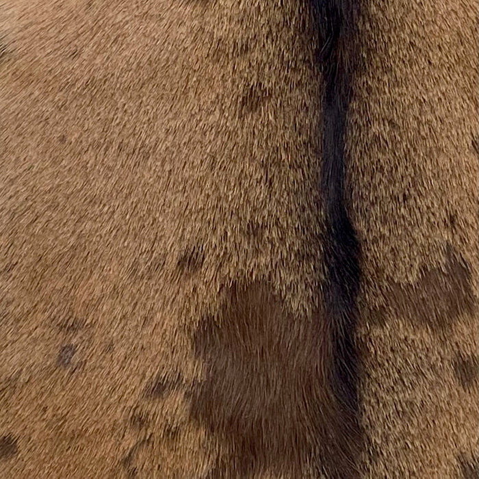 closeup of this Goatskin, showing reddish brown with chocolate speckles and spots, and dark brown down the spine  (GOAT446)