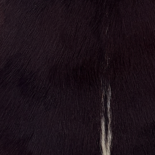 Closeup of this Goatskin, showing dark brown with a strip of white above the tail  (GOAT451)
