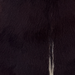 Closeup of this Goatskin, showing dark brown with a strip of white above the tail  (GOAT451)