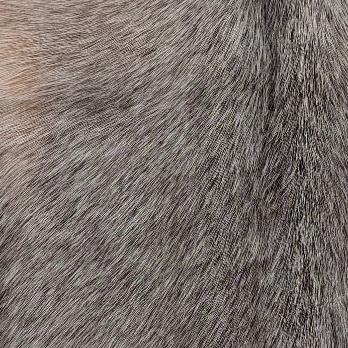 Closeup of this Speckled Goatskin, showing black and brown with white speckles (GOAT453)