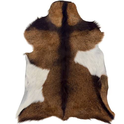 Brown and White Goatskin:  brown with dark brown speckleas, dark brown down the spine and across the shoulder, and one white spot on each side - 2'6" x 1'7" (GOAT454)