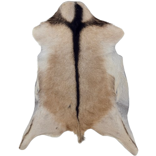 Brown and Lt Beige Goatskin:  light beige with light brown speckles and dark brown down the spine and a dark brown strip across the shoulder - 2'11" x 1'10" (GOAT455)