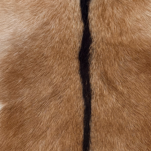 Closeup of this Goatskin, showing  brown with dark brown down the spine (GOAT456)