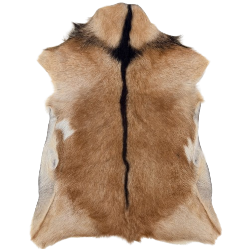 Brown Goatskin:  brown with dark brown down the spine and a dark brown strip across the shoulder - 2'9" x 1'11" (GOAT456)