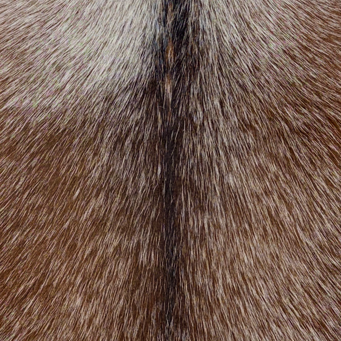 Closeup of this Speckled Goatskin, showing brown with white speckles, and blackish brown with white speckles down the spine  (GOAT458)