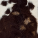 Closeup of this Goatskin, showing long hair that is dark brown, light brown, and white  (GOAT459)