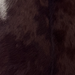 Closeup of this Goatskin, showing dark brown with white spots and speckles along the left side edge(GOAT462)