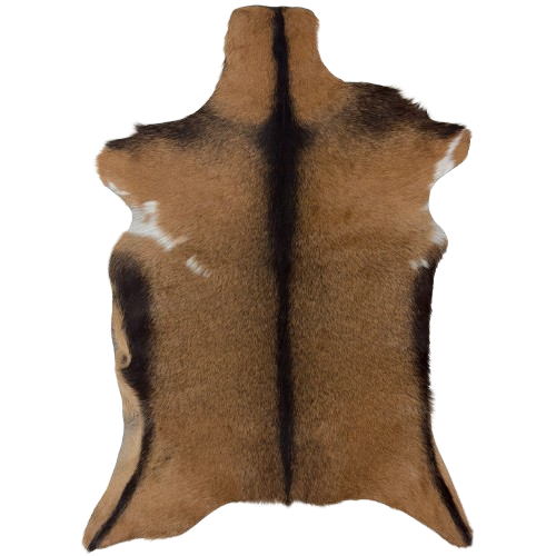 Brown Goatskin:  brown with blackish brown speckles and blackish brown on the belly and down the spine, and a couple small white spots on each side - 3'2" x 2'2" (GOAT463)