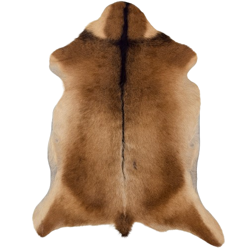 Brown Goatskin:  brown with dark brown speckles and dark brown down the spine and a strip across the shoulder  (GOAT464)