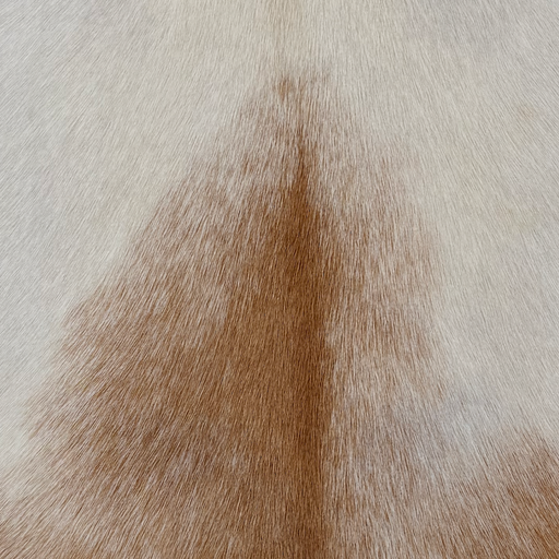 Closeup of this Goatskin, showing brown with white speckles and white and off-white on the back  (GOAT465)