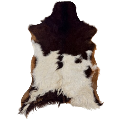 Brown and Off-White Goatskin: has long hair that is dark brown, medium brown, and off-white - 3'1" x 1'10"  (GOAT466)