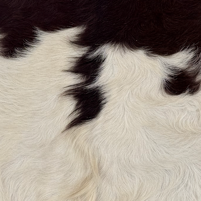Closeup of this Goatskin, showing long hair that is dark brown and off-white (GOAT466)