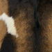 Closeup of this Goatskin, showing golden brown with blackish brown speckles and spots, and one small white spot on the left side (GOAT467)