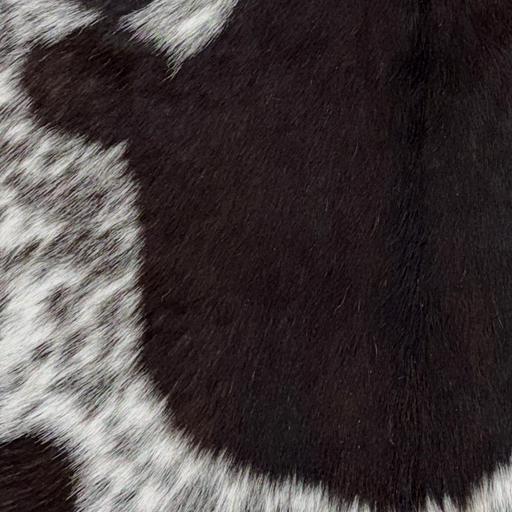 Closeup of this Speckled Goatskin, showing white with blackish brown speckles and large and small black spots   (GOAT469)