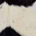Closeup of this Goatskin, showing off-white with large black spots (GOAT470)