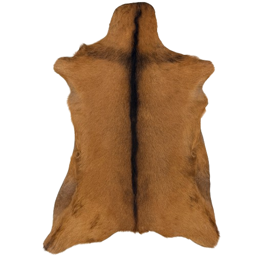 Brown Goatskin:  brown with blackish brown down the spine - 3'3" x 2'1" (GOAT471)