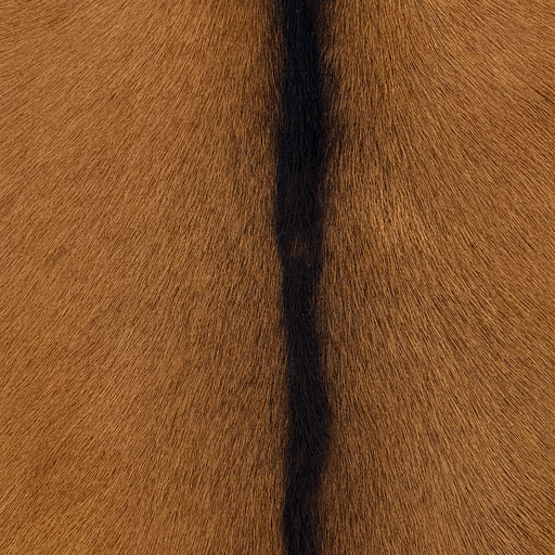 Closeup of this Goatskin, showing brown with blackish brown down the spine (GOAT471)