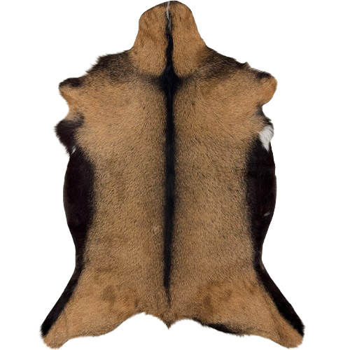 Brown Goatskin:  brown with blackish brown speckles, and blackish brown down the spine and on the belly - 3'7" x 2'3" (GOAT472)