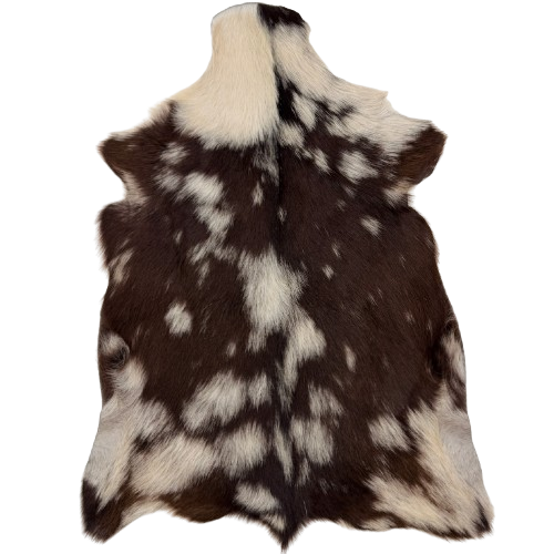 Brown and Off-White Goatskin: brown with off-white spots - 2'7" x 1'8" (GOAT473)