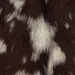 Closeup of this Goatskin, showing brown with off-white spots (GOAT473)
