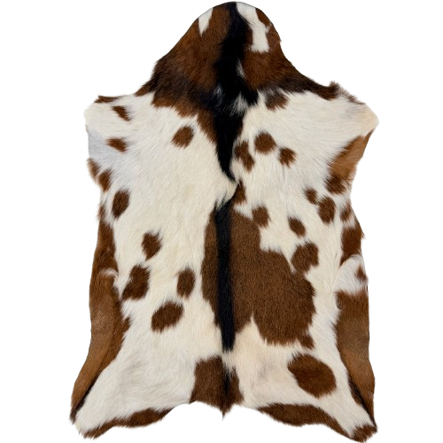 Off-White and Brown Goatskin:  off-white with brown spots and black down the spine - 2'10" x 1'11" (GOAT474)