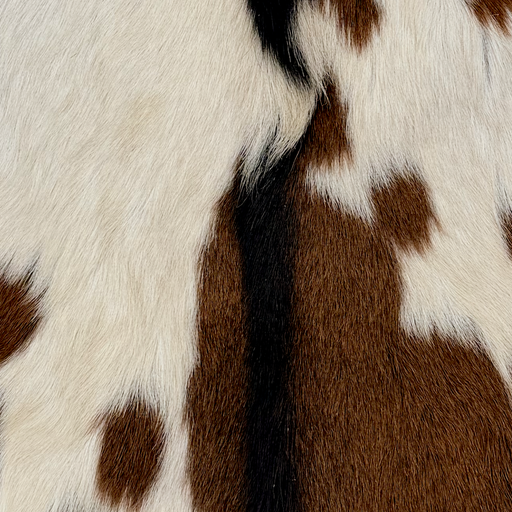Closeup of this Goatskin, showing off-white with brown spots and black down the spine (GOAT474)