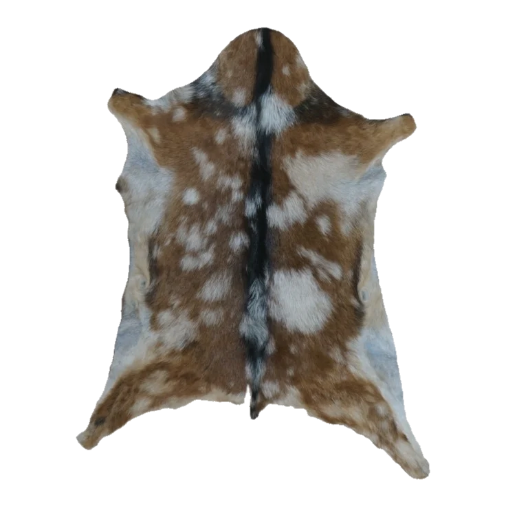 Brown and White Spotted Goat Hide Rug, 2'11" x 2'2" #GT-006