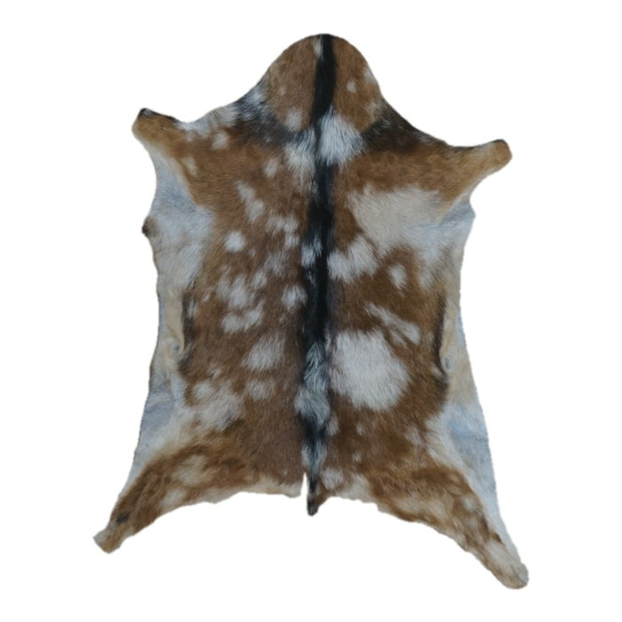 Brown and White Spotted goatskin rug, 2'11" x 2'2", shown on white background (GT-006)