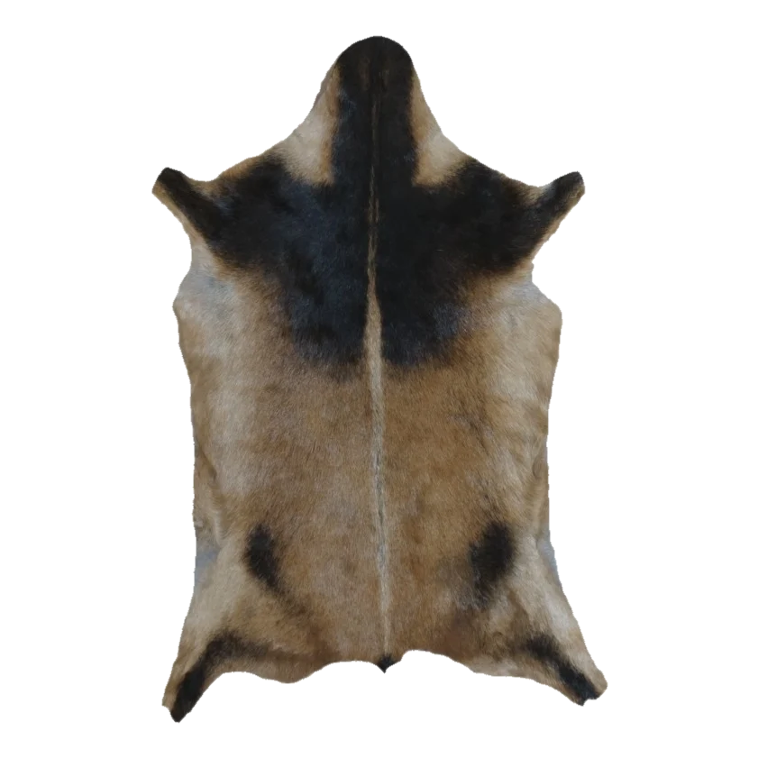 Tan and Black Goat Hide Rug, 3'2" x 2'1" #GT-009