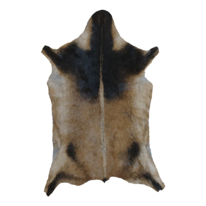 Tan and Black goatskin rug, 3'2" x 2'1", shown on white background (GT-009)