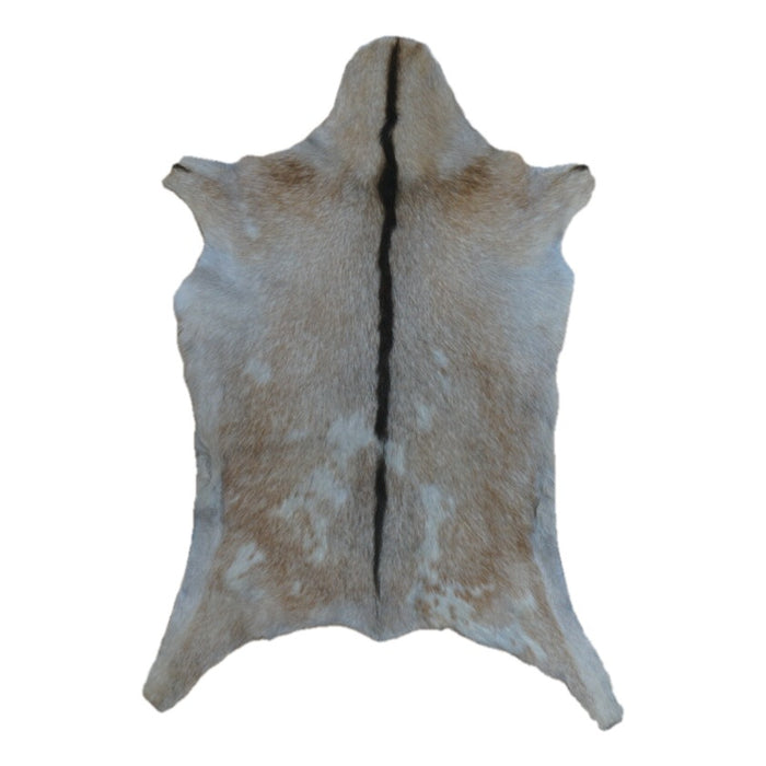 Cream goatskin rug, 3'3" x 2'3", shown on white background (GT-012)