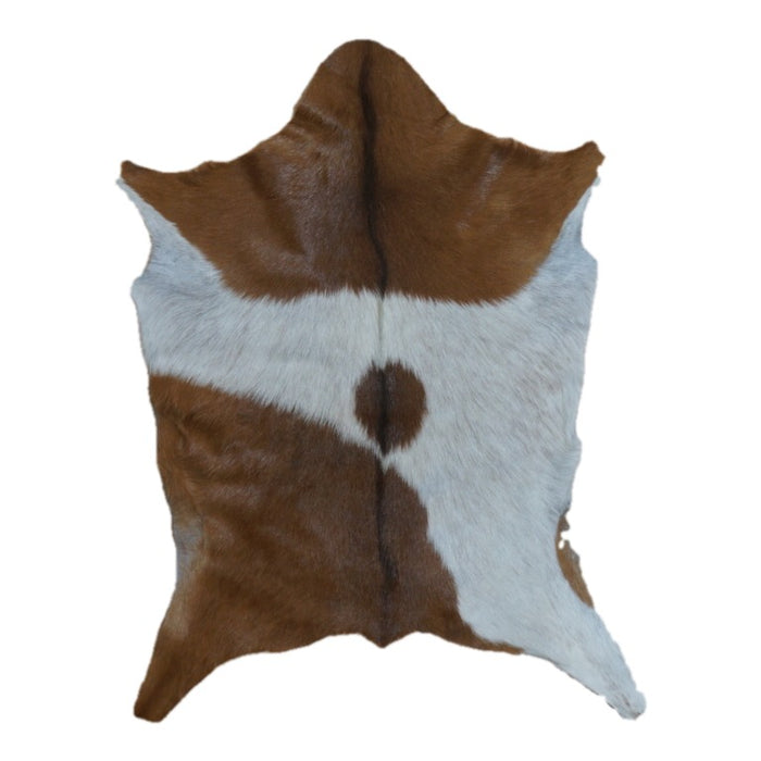 Brown and White goatskin rug, 2'11" x 2'3", shown on white background (GT-017)