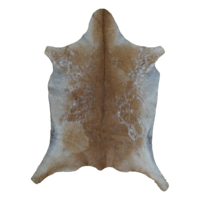 Tan and White goatskin rug, 3'7" x 2'8", shown on white background (GT-019)