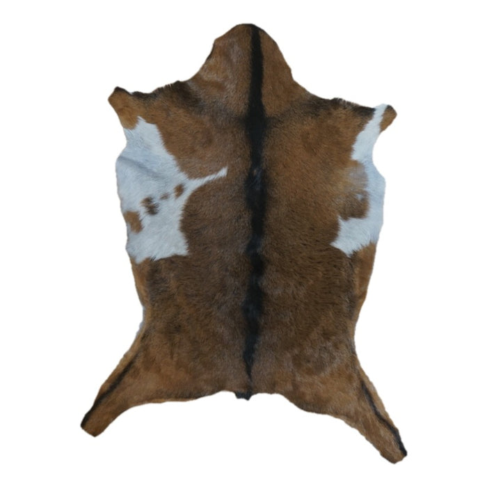 Brown and White goatskin rug, 3'1" x 2'4", shown on white background (GT-023)