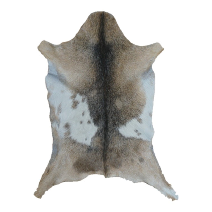 Tan and White goatskin rug, 2'11" x 2'2", shown on white background (GT-024)