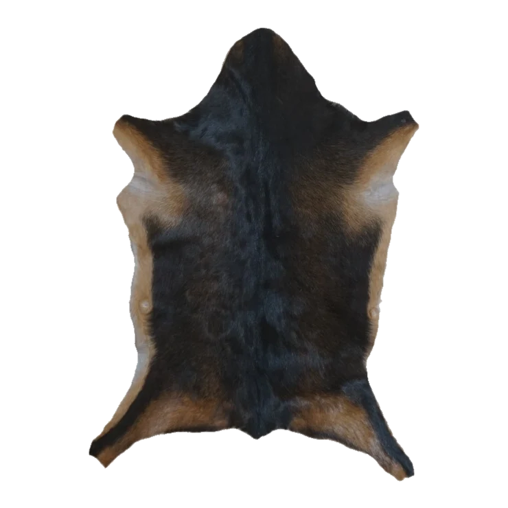 Black and Tan Goat Hide Rug, 2'9" x 2'1" #GT-026