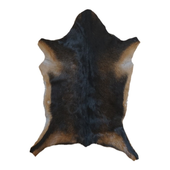 Black and Tan goatskin rug, 2'9" x 2'1", shown on white background (GT-026)
