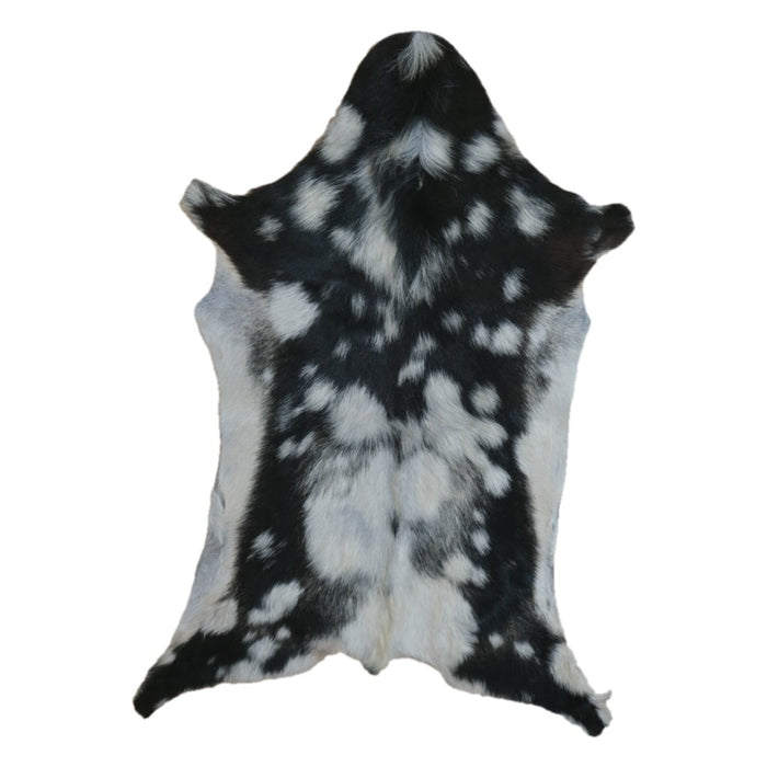 Black and White goatskin rug, 3'10" x 2'9", shown on white background (GT-030)