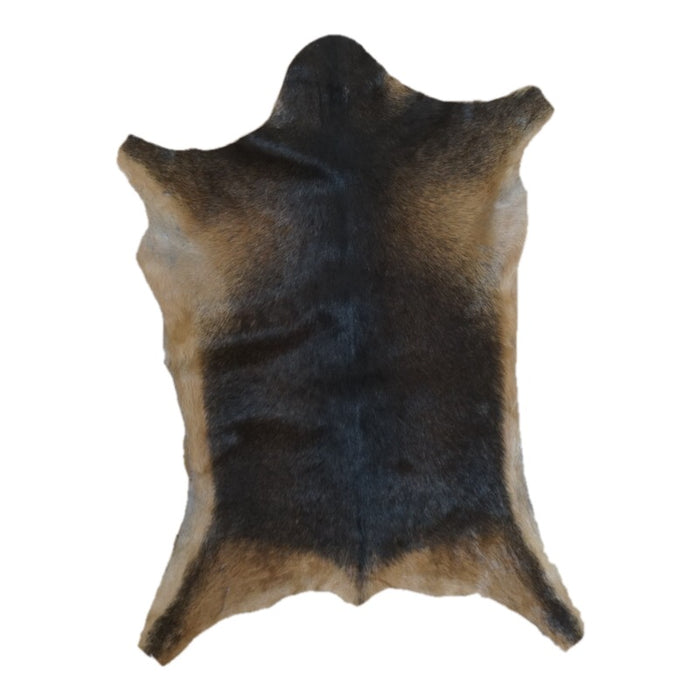 Black and Tan goatskin rug, 3'1" x 2'3", shown on white background (GT-033)