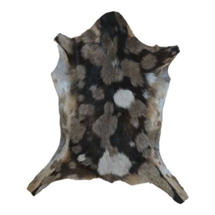 Grey Spotted goatskin rug, 2'11" x 2'4", shown on white background (GT-040)