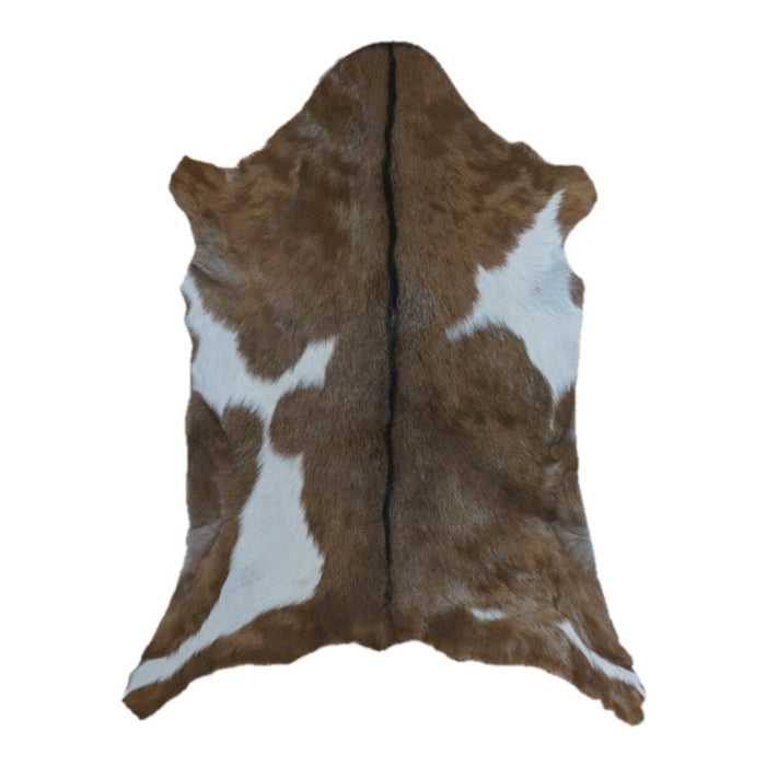 Brown and White goatskin rug, 3' x 2'3", shown on white background (GT-042)